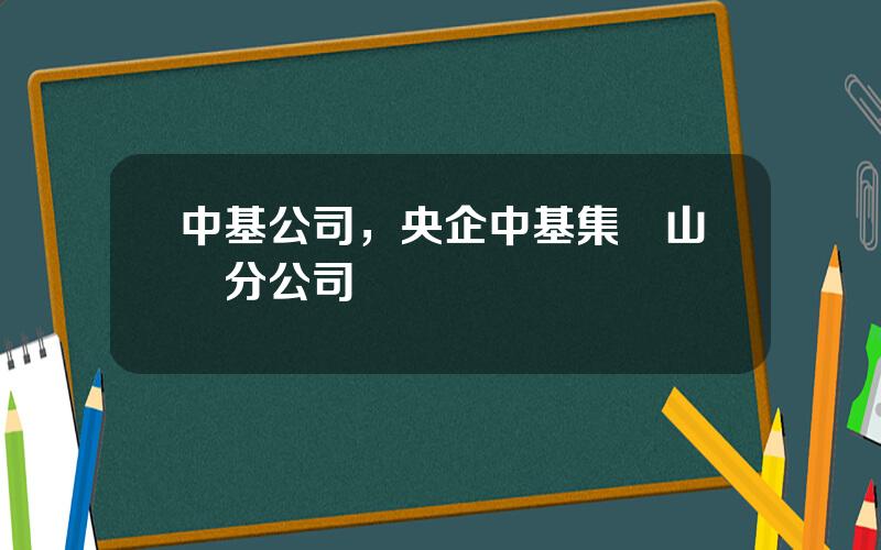 中基公司，央企中基集團山東分公司