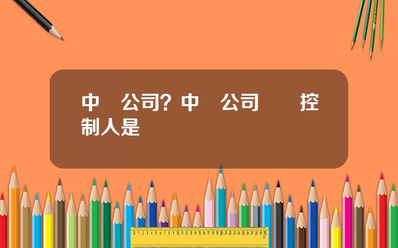 中堅公司？中堅公司實際控制人是誰