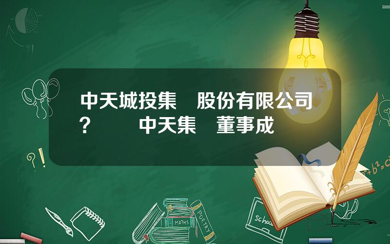 中天城投集團股份有限公司？貴陽中天集團董事成員