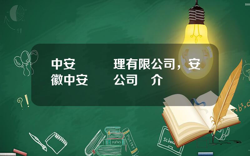 中安資産琯理有限公司，安徽中安資産公司簡介
