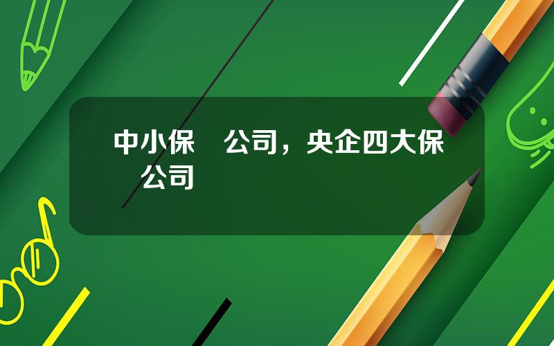 中小保險公司，央企四大保險公司