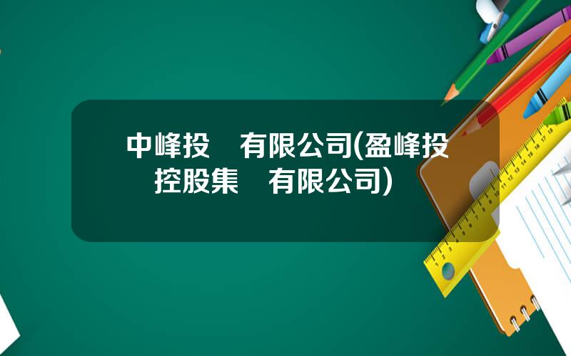 中峰投資有限公司(盈峰投資控股集團有限公司)