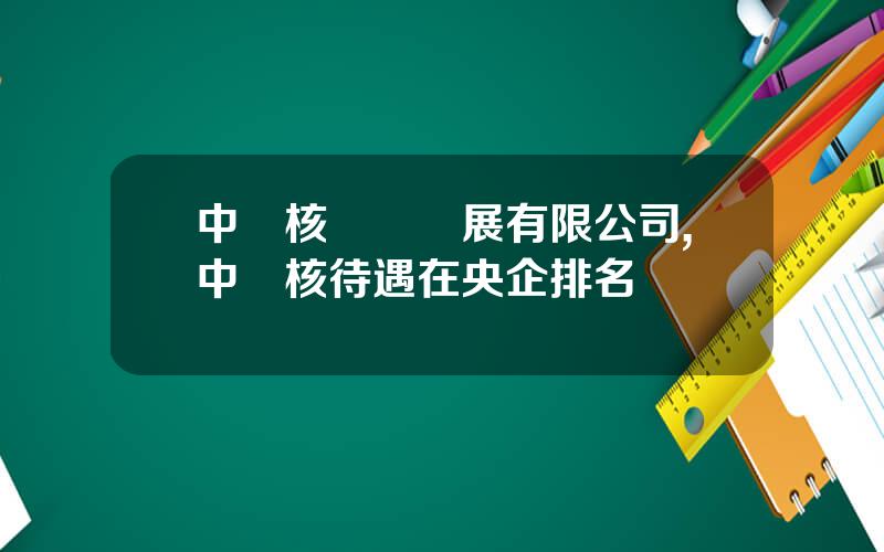 中廣核鈾業發展有限公司,中廣核待遇在央企排名