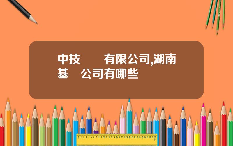 中技樁業有限公司,湖南樁基礎公司有哪些