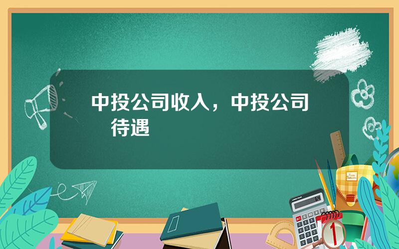 中投公司收入，中投公司實際待遇