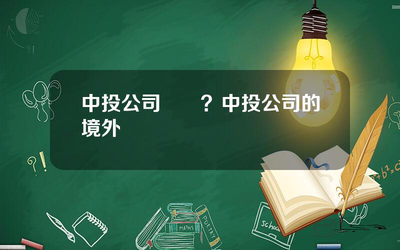 中投公司資産？中投公司的境外業務範圍