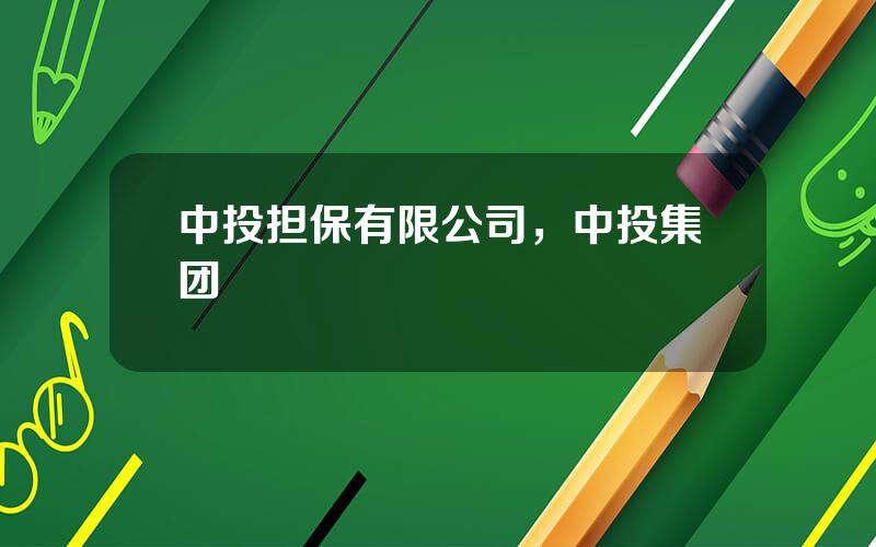 中投担保有限公司，中投集团