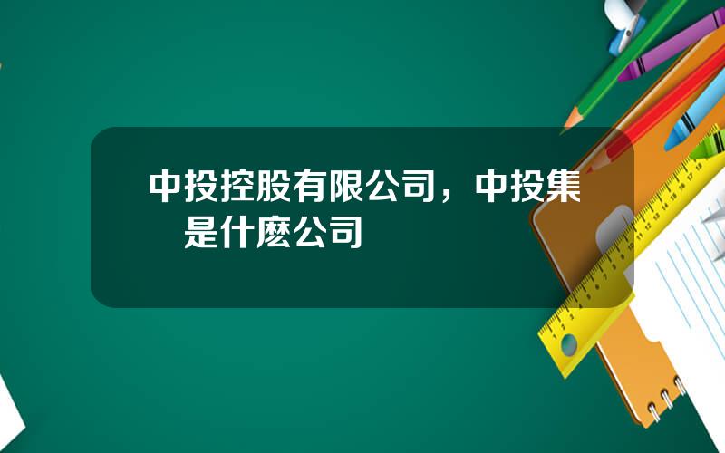 中投控股有限公司，中投集團是什麽公司