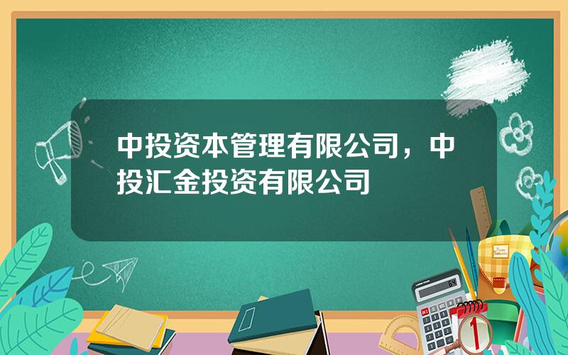 中投资本管理有限公司，中投汇金投资有限公司