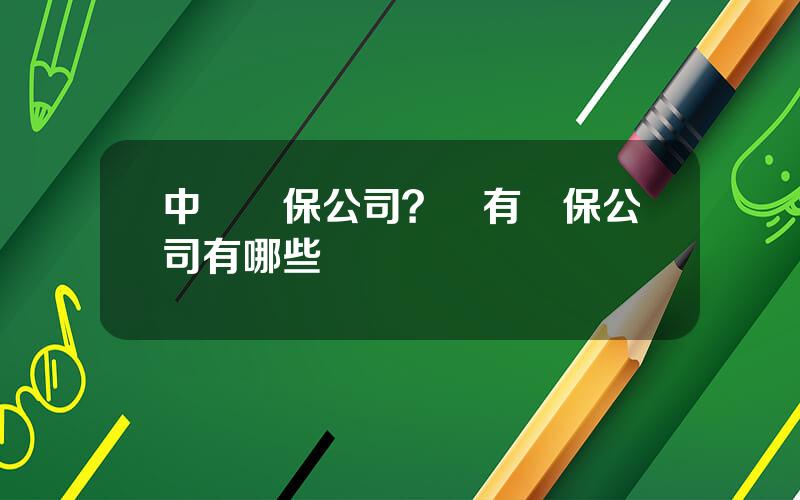中擔擔保公司？國有擔保公司有哪些