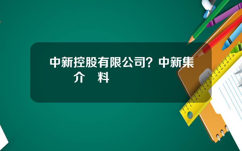 中新控股有限公司？中新集團簡介資料
