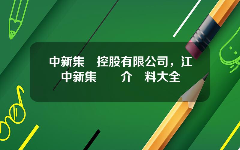 中新集團控股有限公司，江囌中新集團簡介資料大全