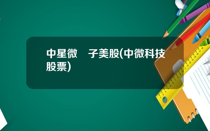 中星微電子美股(中微科技股票)