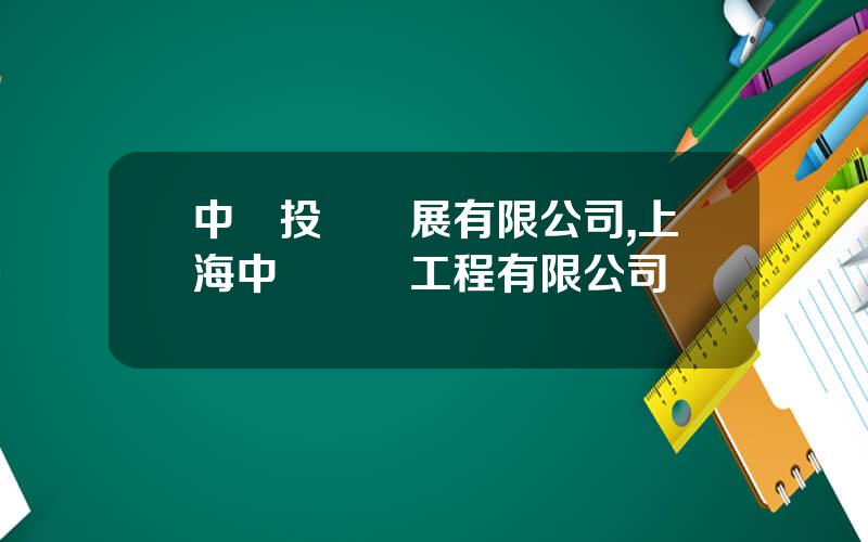 中發投資發展有限公司,上海中發設備工程有限公司