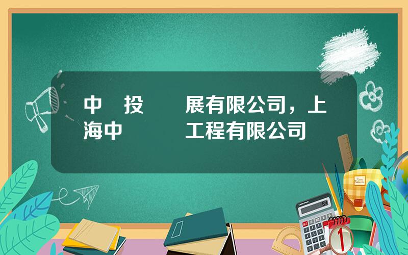 中發投資發展有限公司，上海中發設備工程有限公司