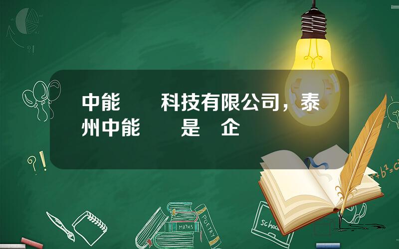 中能鋰電科技有限公司，泰州中能鋰電是國企嗎