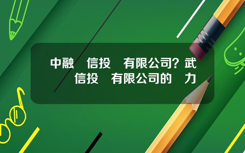 中融滙信投資有限公司？武漢經信投資有限公司的實力