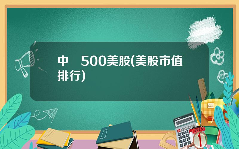 中証500美股(美股市值排行)