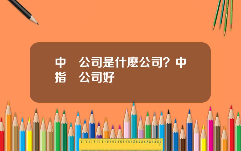 中証公司是什麽公司？中証指數公司好進嗎