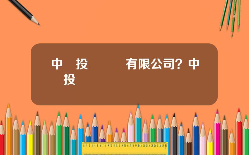 中証投資資訊有限公司？中証投資