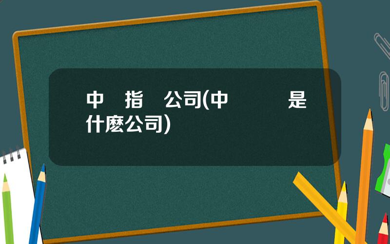 中証指數公司(中証國際是什麽公司)