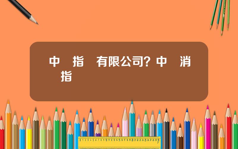 中証指數有限公司？中証消費指數