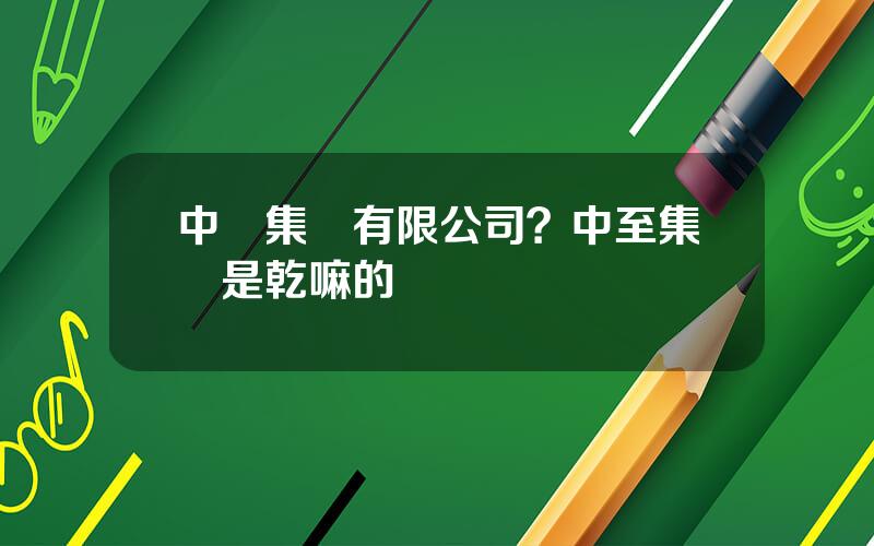 中遠集團有限公司？中至集團是乾嘛的