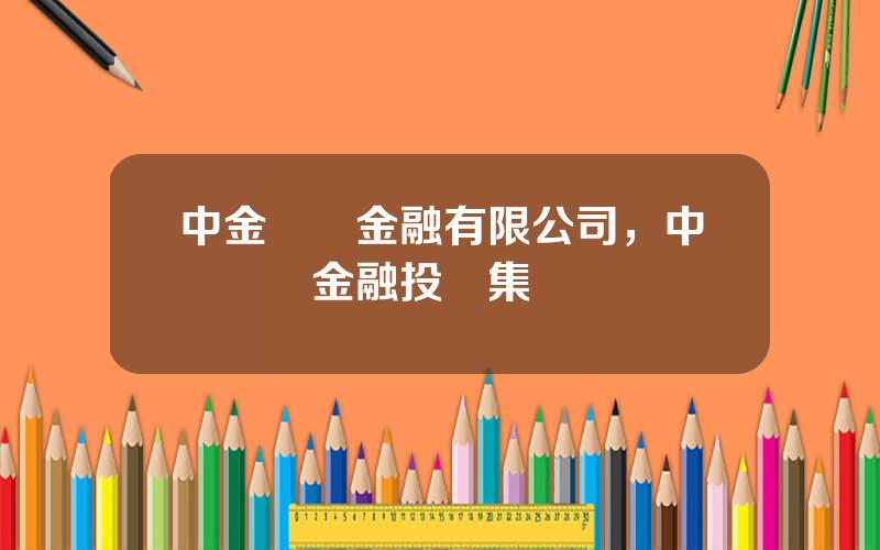 中金國際金融有限公司，中國國際金融投資集團