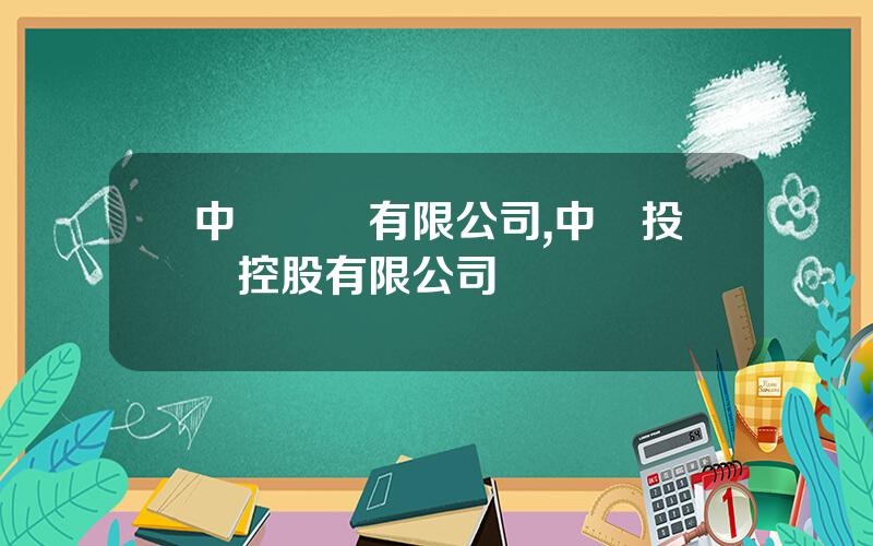 中銀國際有限公司,中銀投資控股有限公司