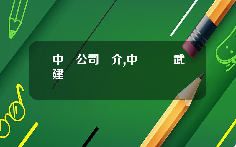 中鋁公司簡介,中鋁國際武建強