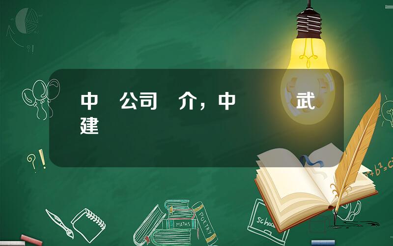 中鋁公司簡介，中鋁國際武建強
