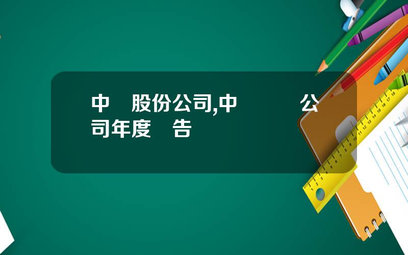 中鋁股份公司,中國鋁業公司年度報告