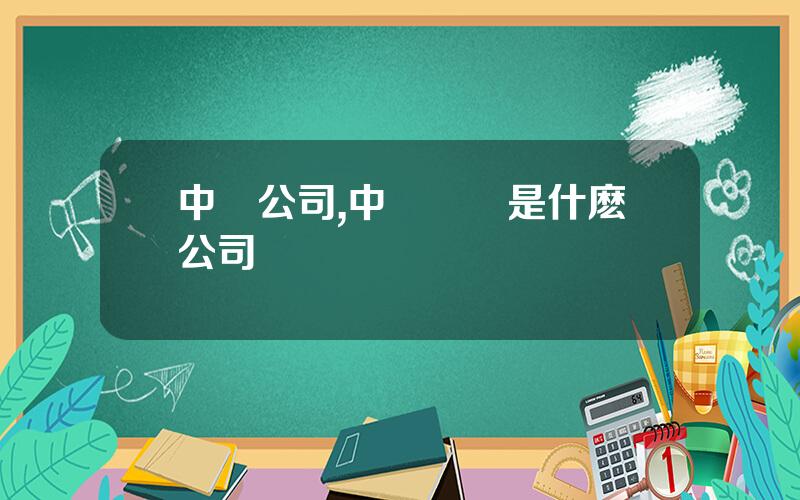 中鋼公司,中鋼國際是什麽公司