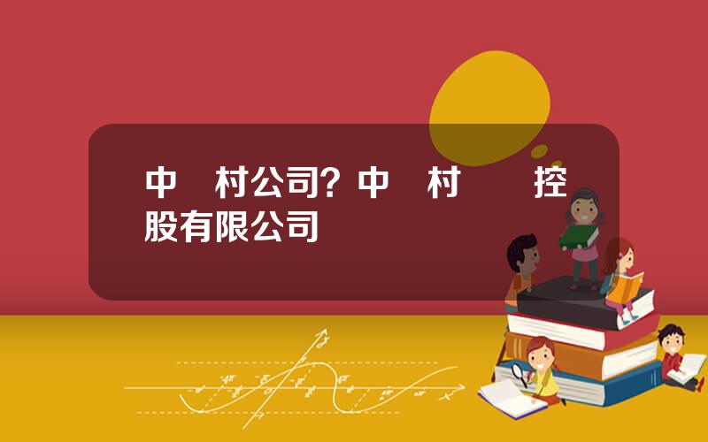 中關村公司？中關村國際控股有限公司