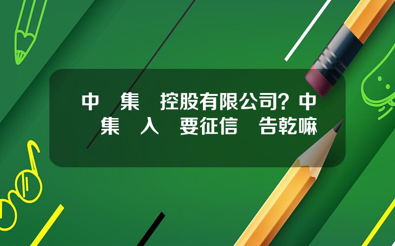 中陞集團控股有限公司？中陞集團入職要征信報告乾嘛