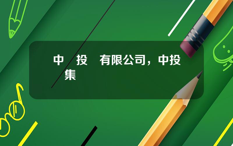 中際投資有限公司，中投國際集團
