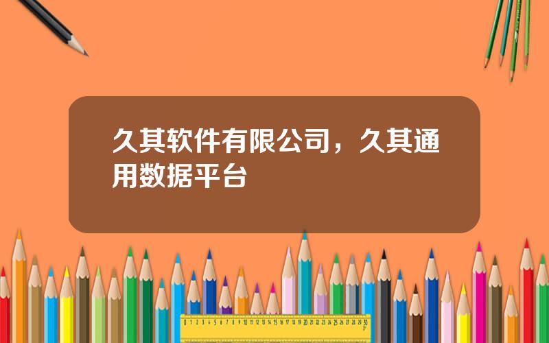 久其软件有限公司，久其通用数据平台