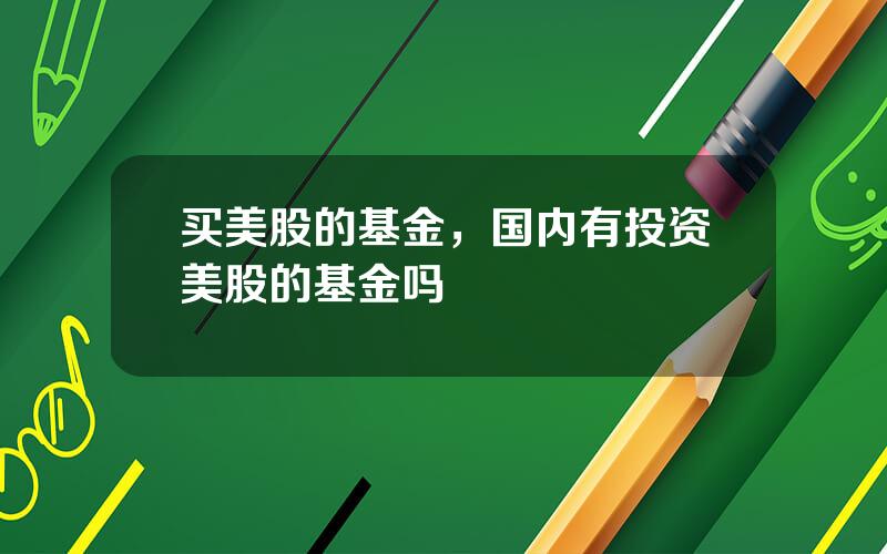 买美股的基金，国内有投资美股的基金吗