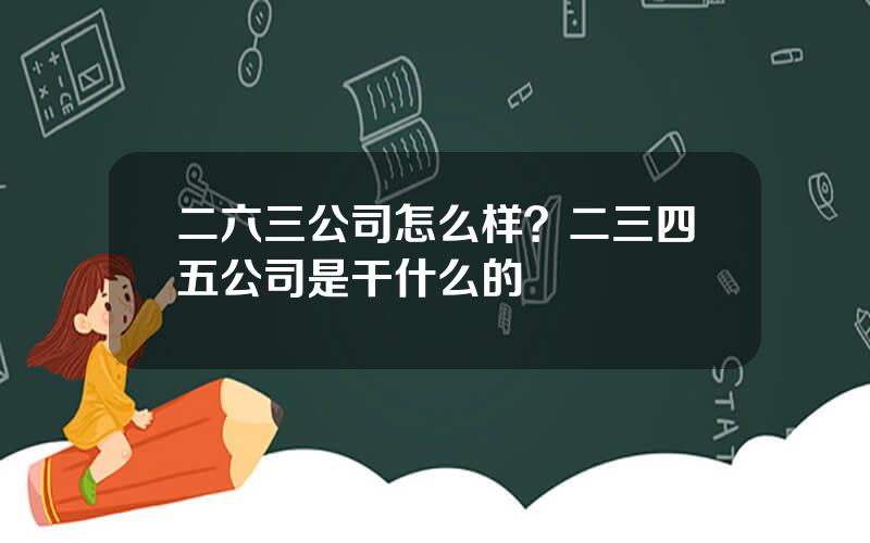 二六三公司怎么样？二三四五公司是干什么的