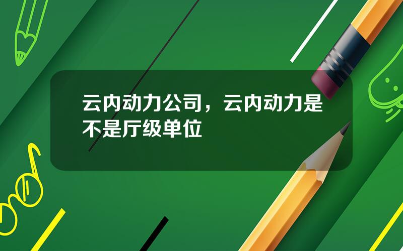 云内动力公司，云内动力是不是厅级单位