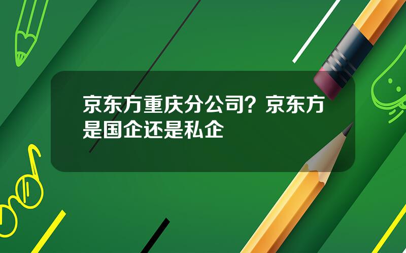 京东方重庆分公司？京东方是国企还是私企