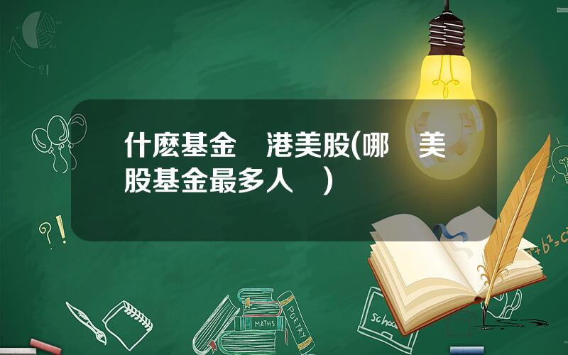 什麽基金買港美股(哪衹美股基金最多人買)