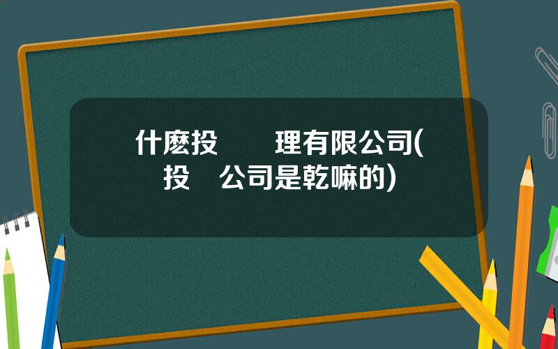 什麽投資琯理有限公司(經濟投資公司是乾嘛的)
