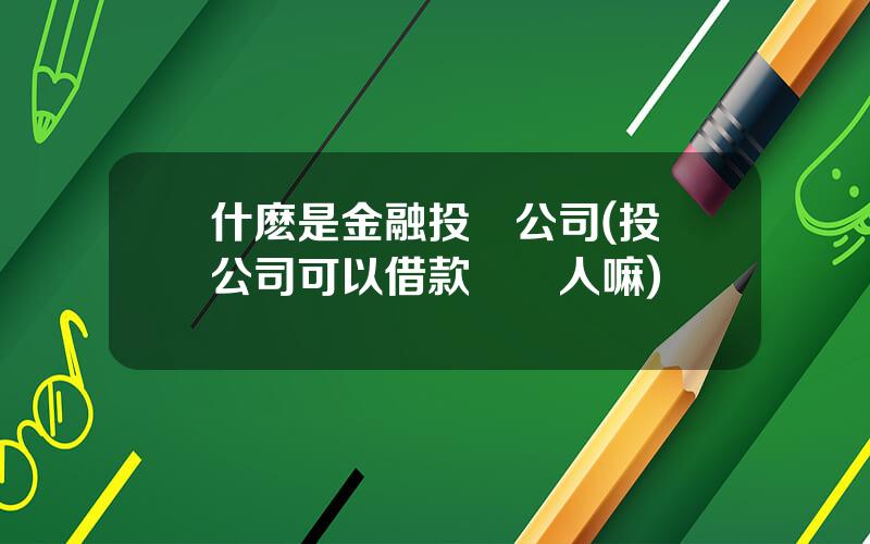 什麽是金融投資公司(投資公司可以借款給個人嘛)
