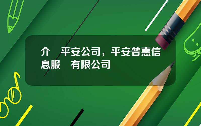 介紹平安公司，平安普惠信息服務有限公司