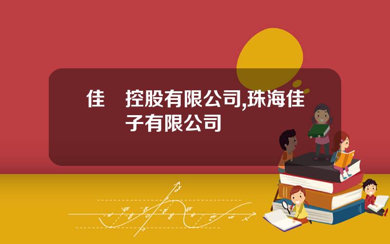 佳訊控股有限公司,珠海佳訊電子有限公司