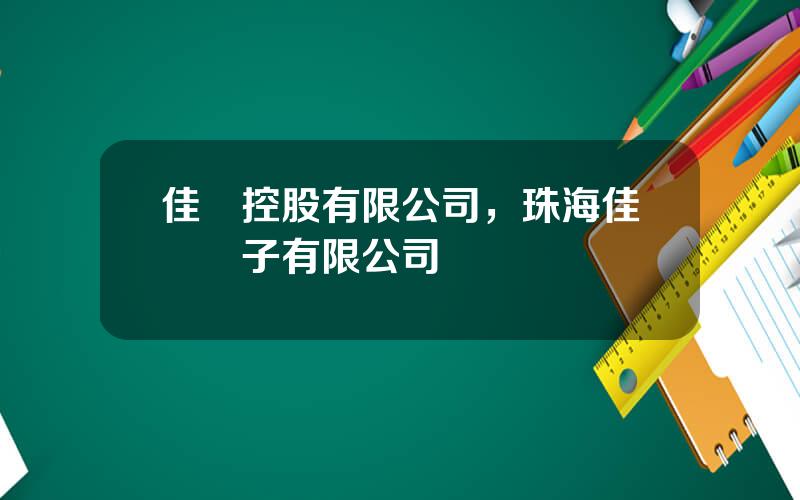 佳訊控股有限公司，珠海佳訊電子有限公司