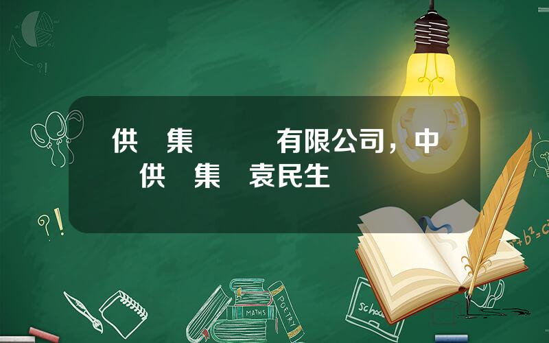 供銷集團財務有限公司，中國供銷集團袁民生
