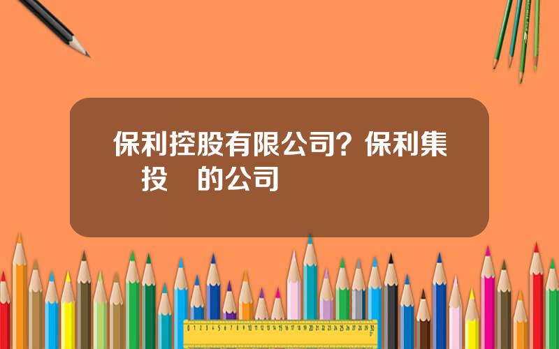 保利控股有限公司？保利集團投資的公司