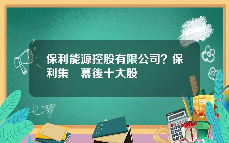 保利能源控股有限公司？保利集團幕後十大股東